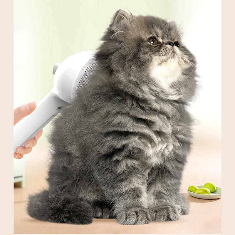 Cepillo de Aseo con Rocío