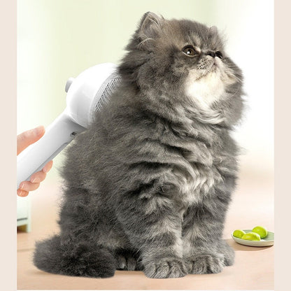 Cepillo de Aseo con Rocío