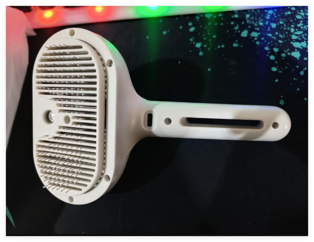 Cepillo de Aseo con Rocío